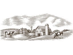 dairy farm scene